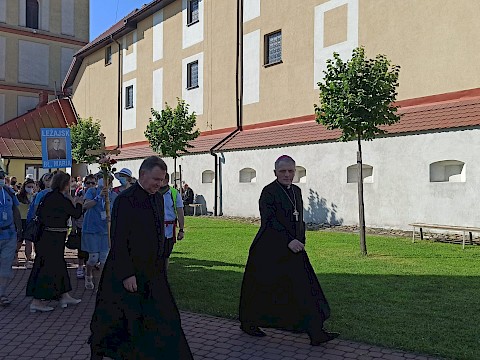 Zdjęcie 44 z 60