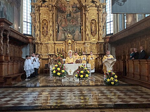 Zdjęcie 24 z 72