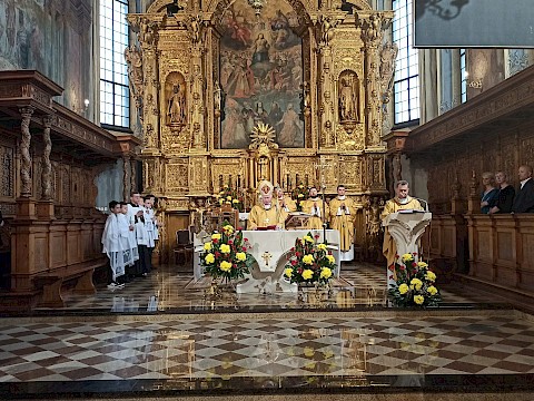 Zdjęcie 25 z 72
