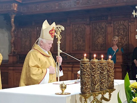Zdjęcie 31 z 72