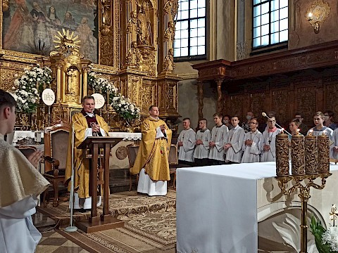 Zdjęcie 9 z 31