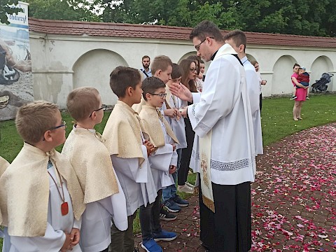 Zdjęcie 19 z 31