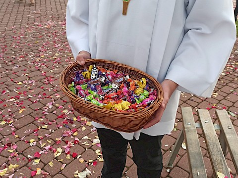 Zdjęcie 26 z 31