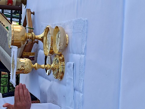 Zdjęcie 13 z 39
