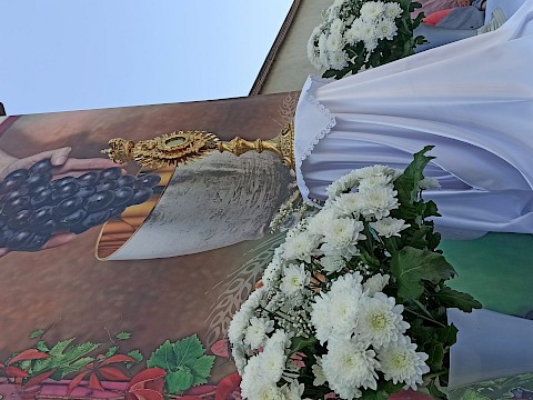 Zdjęcie 17 z 39