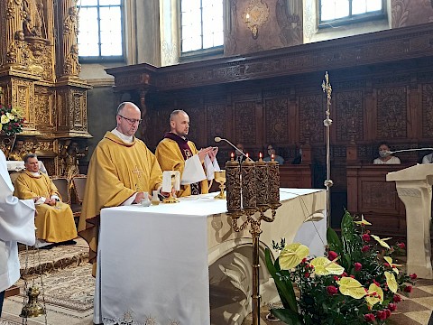 Zdjęcie 12 z 41