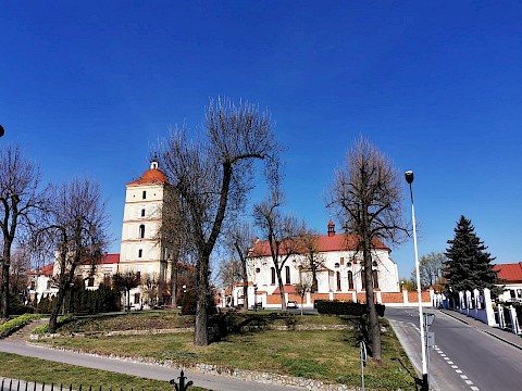 Zdjęcie 15 z 15