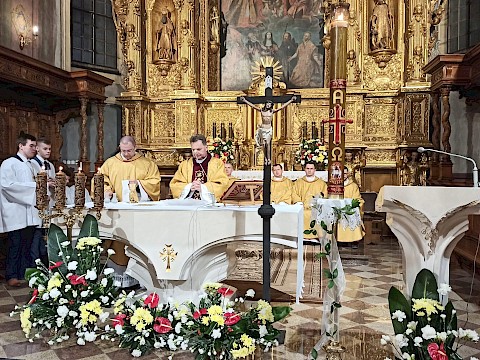 Zdjęcie 18 z 23