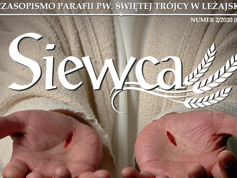 Zdjęcie 1 z 1