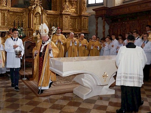 Zdjęcie 12 z 82