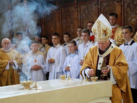 Zdjęcie 44 z 82