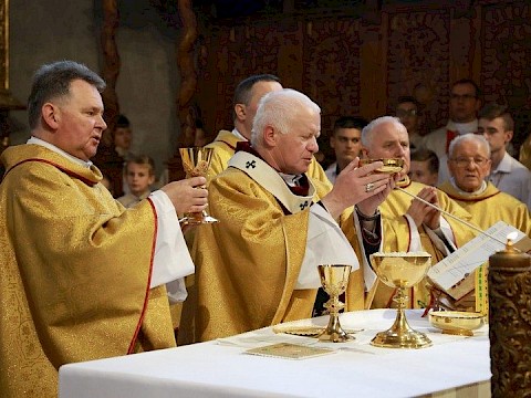 Zdjęcie 68 z 82