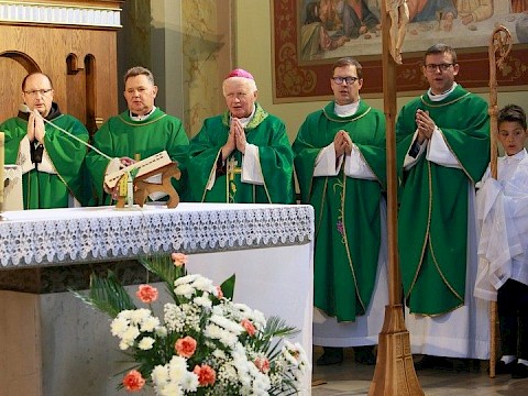 Zdjęcie 14 z 37
