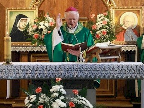 Zdjęcie 28 z 37