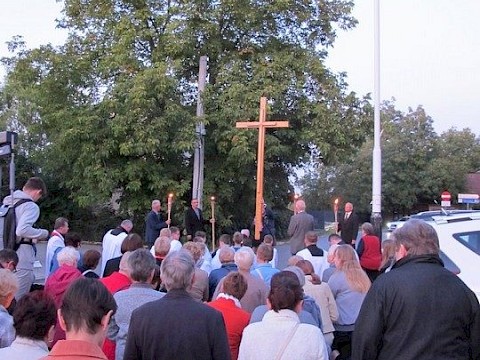 Zdjęcie 15 z 15