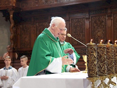 Zdjęcie 14 z 36