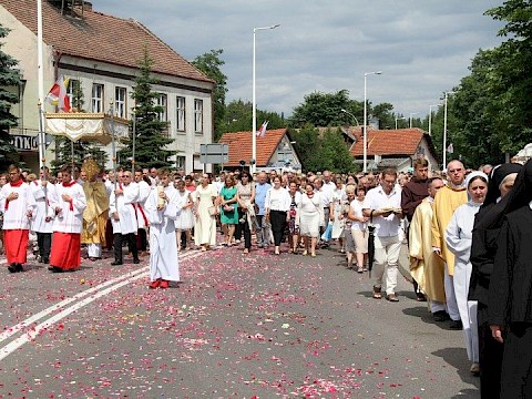 Zdjęcie 12 z 153