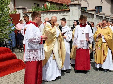 Zdjęcie 25 z 153