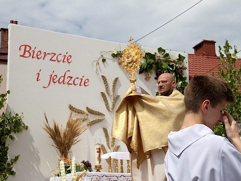 Zdjęcie 23 z 153