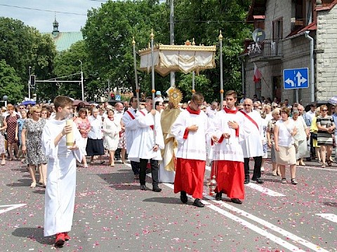 Zdjęcie 28 z 153