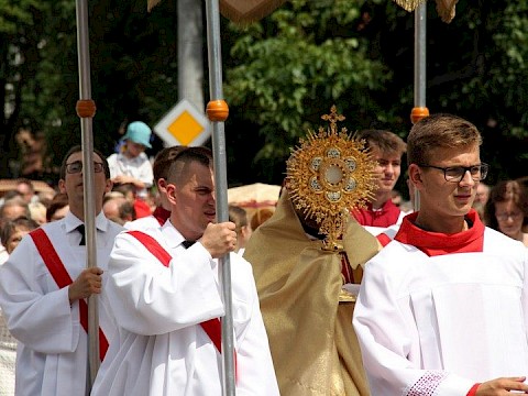 Zdjęcie 27 z 153