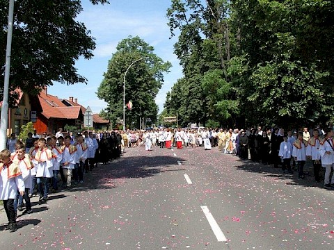 Zdjęcie 76 z 153