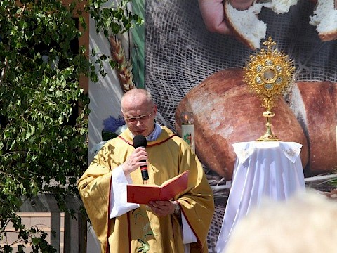 Zdjęcie 95 z 153