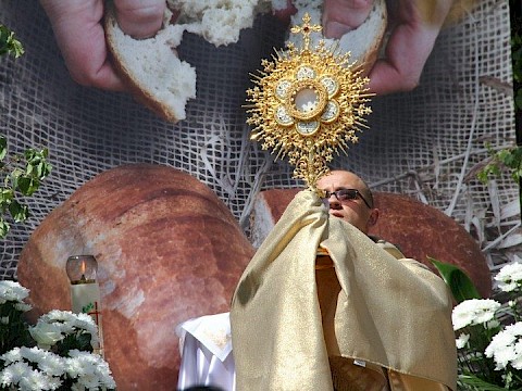 Zdjęcie 99 z 153