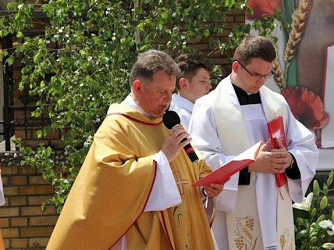 Zdjęcie 139 z 153