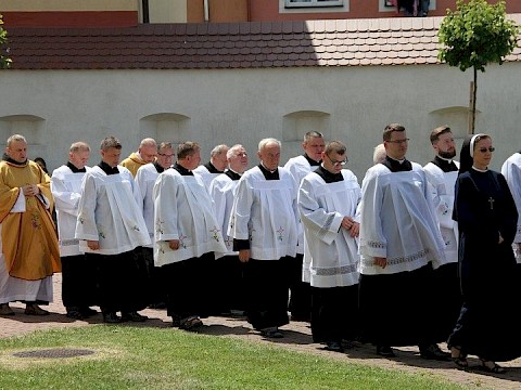 Zdjęcie 43 z 83
