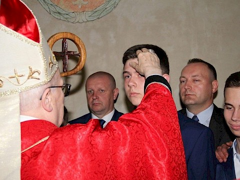 Zdjęcie 21 z 175