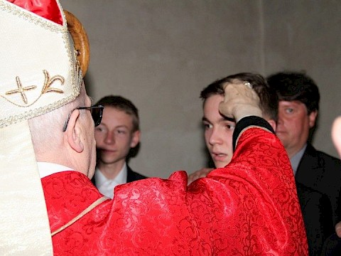 Zdjęcie 25 z 175