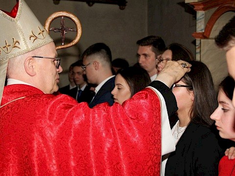 Zdjęcie 27 z 175