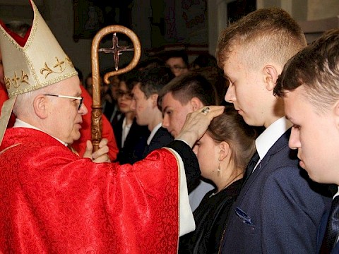 Zdjęcie 34 z 175