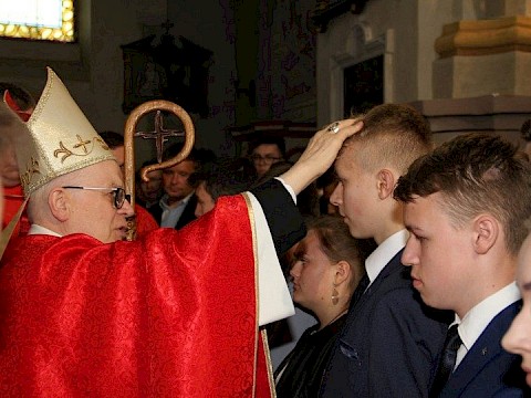 Zdjęcie 37 z 175