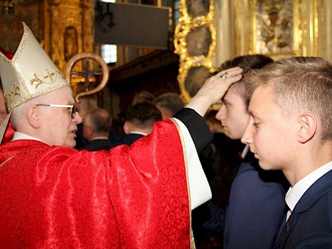 Zdjęcie 40 z 175