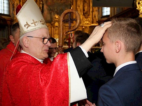 Zdjęcie 43 z 175