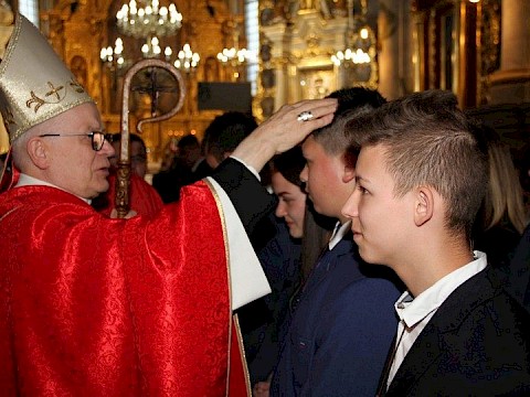 Zdjęcie 66 z 175