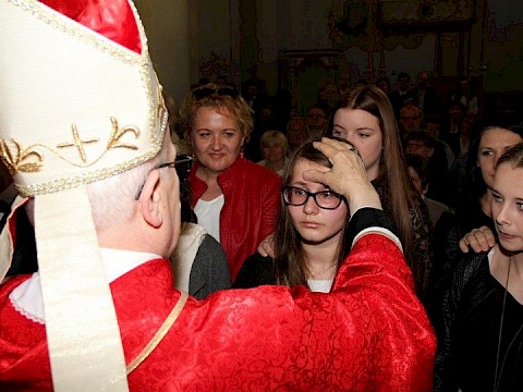 Zdjęcie 141 z 175