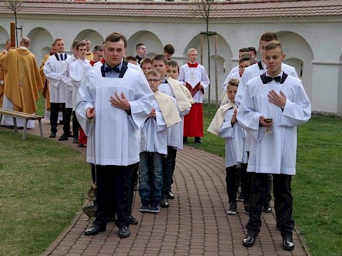 Zdjęcie 1 z 66