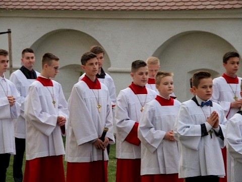 Zdjęcie 6 z 66