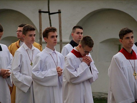Zdjęcie 7 z 66