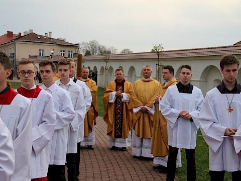 Zdjęcie 9 z 66