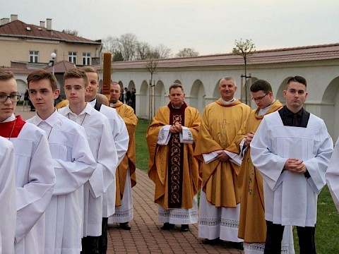Zdjęcie 11 z 66