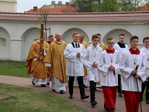 Zdjęcie 14 z 66