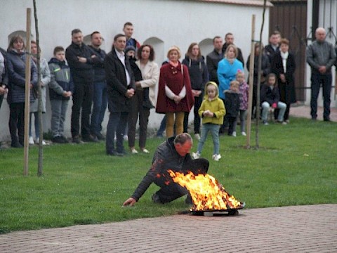 Zdjęcie 15 z 66