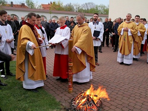 Zdjęcie 30 z 66