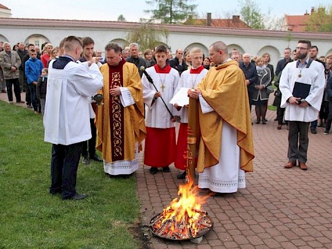 Zdjęcie 31 z 66
