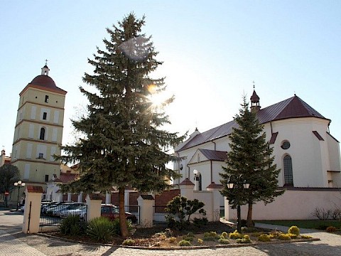 Zdjęcie 1 z 115