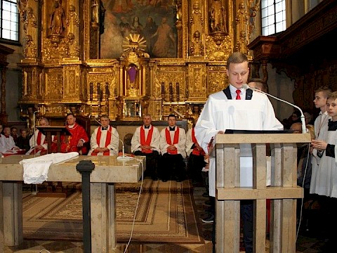 Zdjęcie 9 z 115